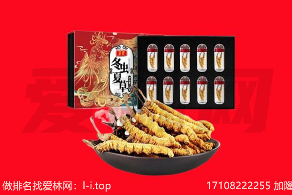阜阳市临泉回收虫草.jpg